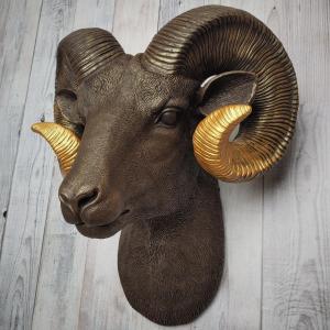 Faux taxidermy ram head, painted brown with gold tipped horns that are graduated in color.