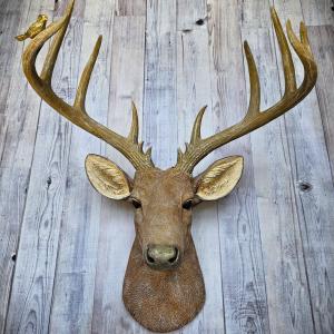 Faux Taxidermy Deer Head with bird, Stag Head Wall Mount