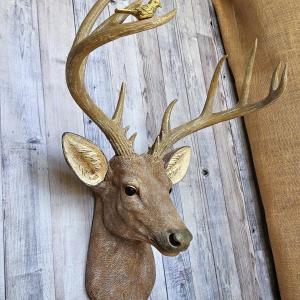 Faux Taxidermy Deer Head with bird, Stag Head Wall Mount