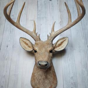 Faux taxidermy natural looking deer head