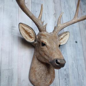 Faux taxidermy natural looking deer head