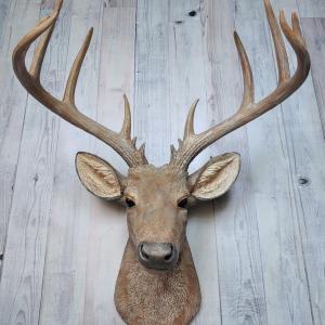 Faux taxidermy natural looking deer head