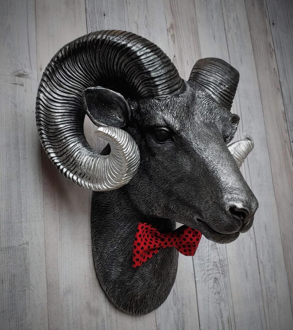 Faux taxidermy ram head wall mount, painted black with metallic silver tipped horns with graduating silver going to the head. A red and black polka dot bow tie accents the neck of the ram.