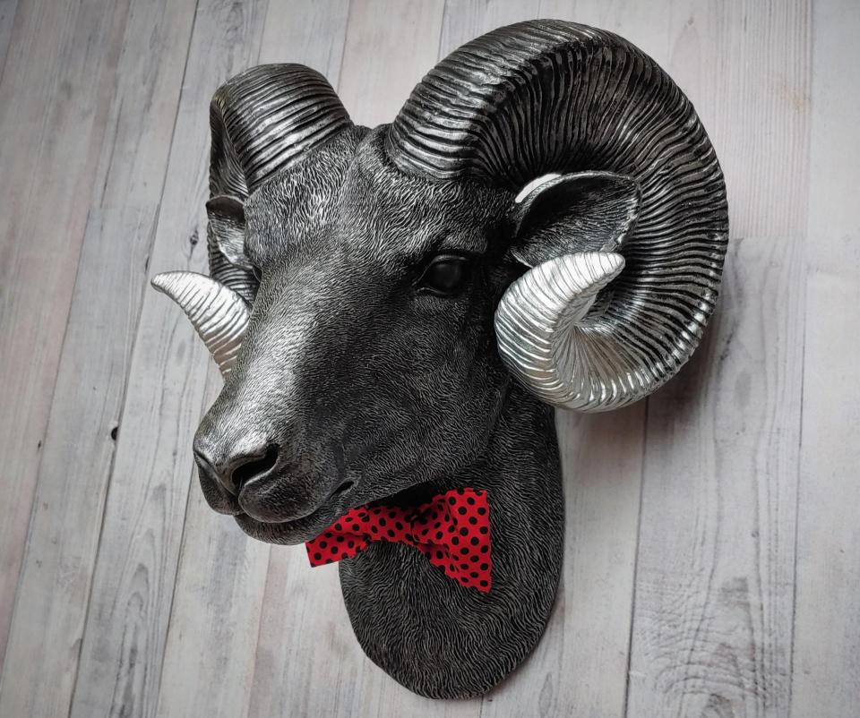 Faux taxidermy ram head wall mount, painted black with metallic silver tipped horns with graduating silver going to the head. A red and black polka dot bow tie accents the neck of the ram.