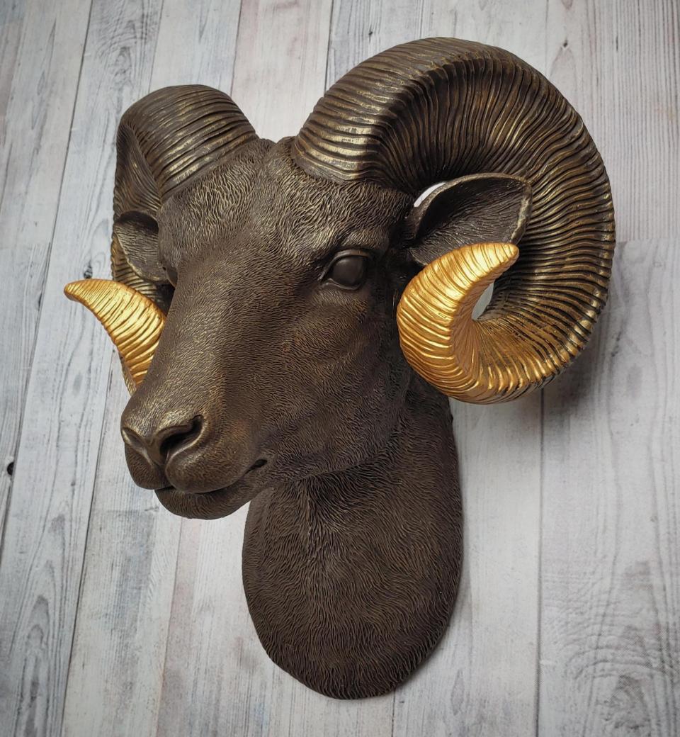 Faux taxidermy ram head, painted brown with gold tipped horns that are graduated in color.