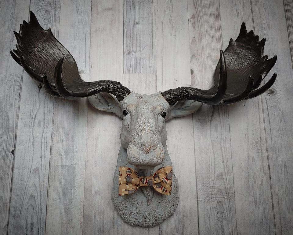 Faux taxidermy  moose head, painted pale grey with bronze accenting. Antlers are painted rubbed bronze. A removable sock monkey print bow tie accents the moose's neck.