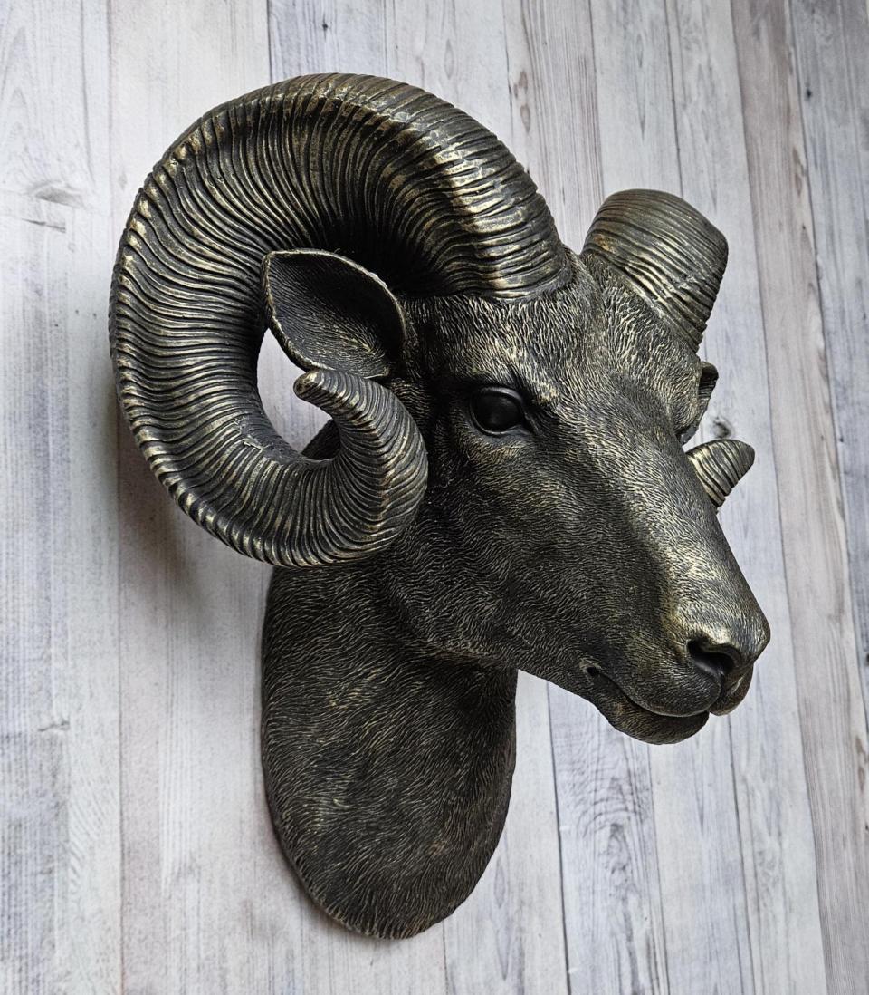 Black faux taxidermy ram head with gold accents.
