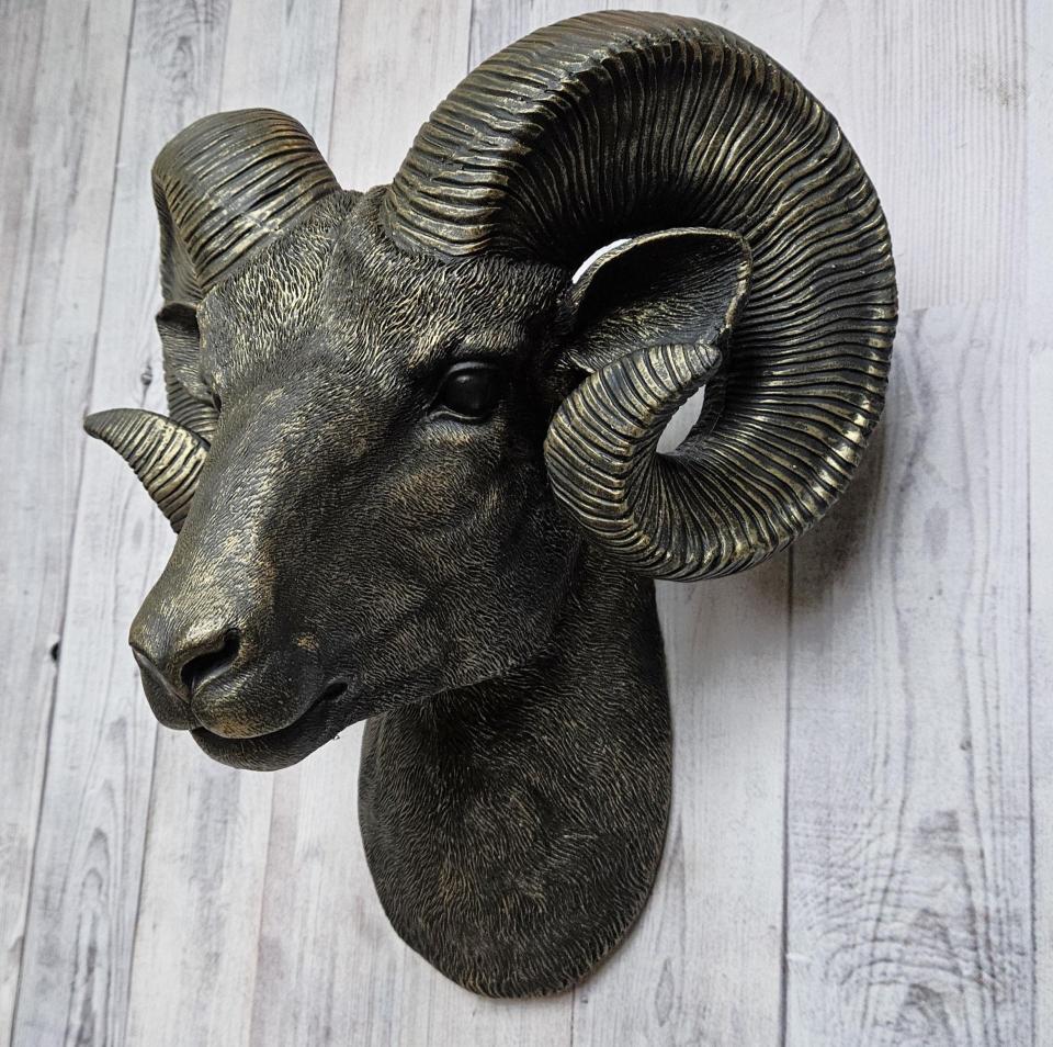 Black faux taxidermy ram head with gold accents.