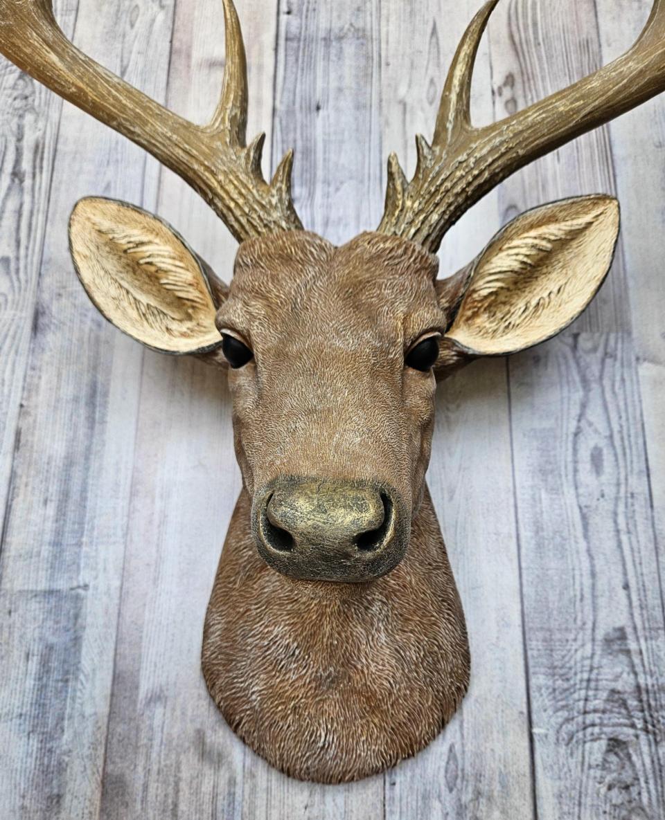Faux Taxidermy Deer Head with bird, Stag Head Wall Mount