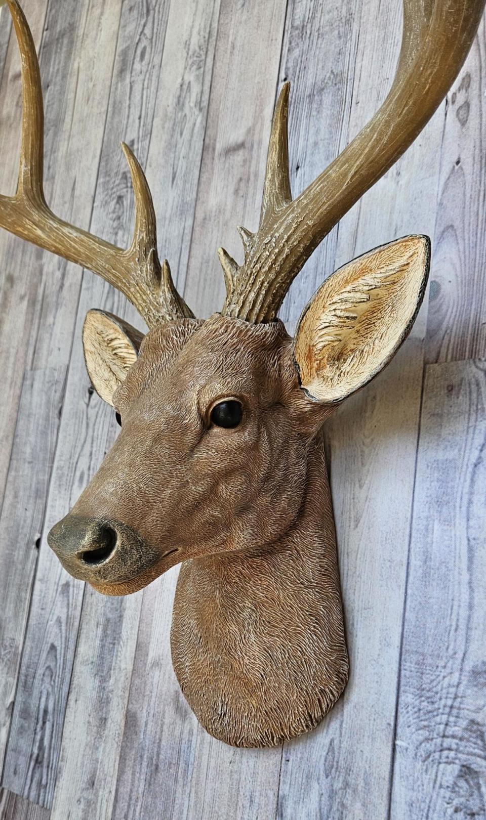 Faux Taxidermy Deer Head with bird, Stag Head Wall Mount