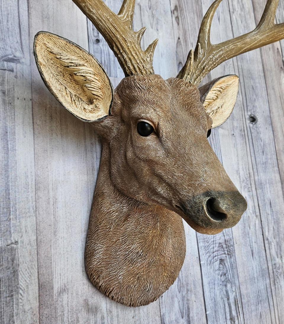 Faux Taxidermy Deer Head with bird, Stag Head Wall Mount