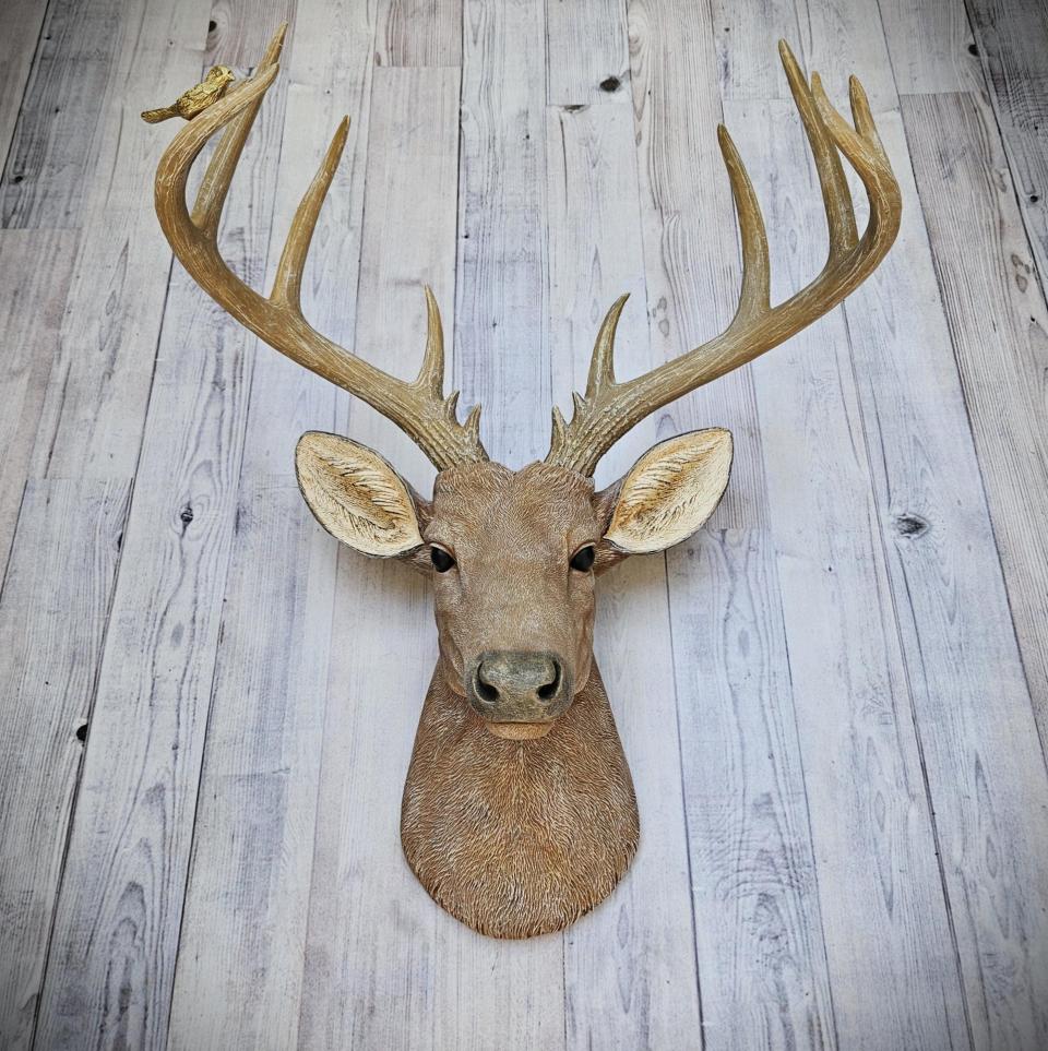 Faux Taxidermy Deer Head with bird, Stag Head Wall Mount