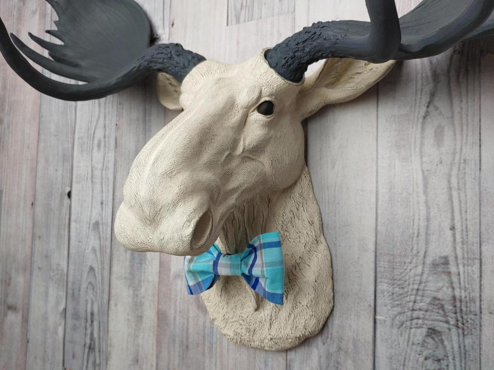 Antique white moose head with slate grey antlers and a blue plaid bow tie