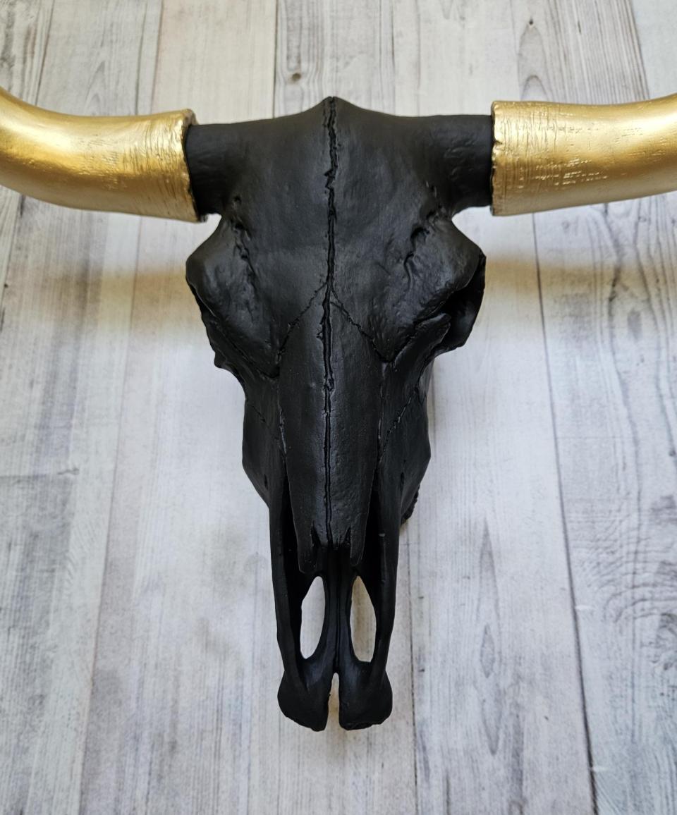 faux taxidermy steer skull, painted black with gold horns