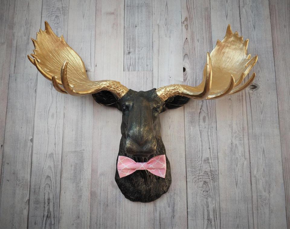 Faux taxidermy moose head, head is painted black with gold accents, antlers painted metallic gold, a pink quatrefoil bow tie accents the neck of the moose.