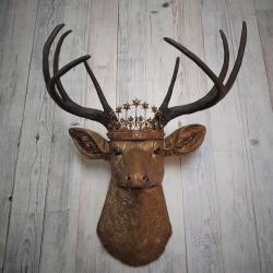 Faux taxidermy deer head that's been painted antique gold with chestnut brown accenting. The antlers are chestnut brown and a vintage inspired Santos star crown/tiara sits arop the deers head.