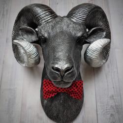 Faux taxidermy ram head wall mount, painted black with metallic silver tipped horns with graduating silver going to the head. A red and black polka dot bow tie accents the neck of the ram.