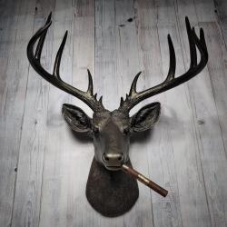 Faux Taxidermy Deer Head Wall Mount, Faux Taxidermy Stag Head with Cigar