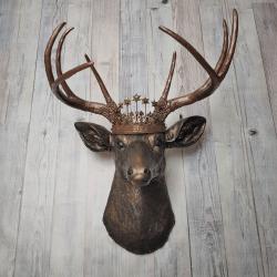 Faux Taxidermy Deer Head Wall Decor, Stag Head Wall Mount, Deer Head Wall Art, Crowned Deer Head