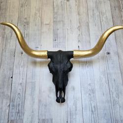 faux taxidermy steer skull, painted black with gold horns