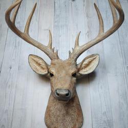 Faux taxidermy natural looking deer head