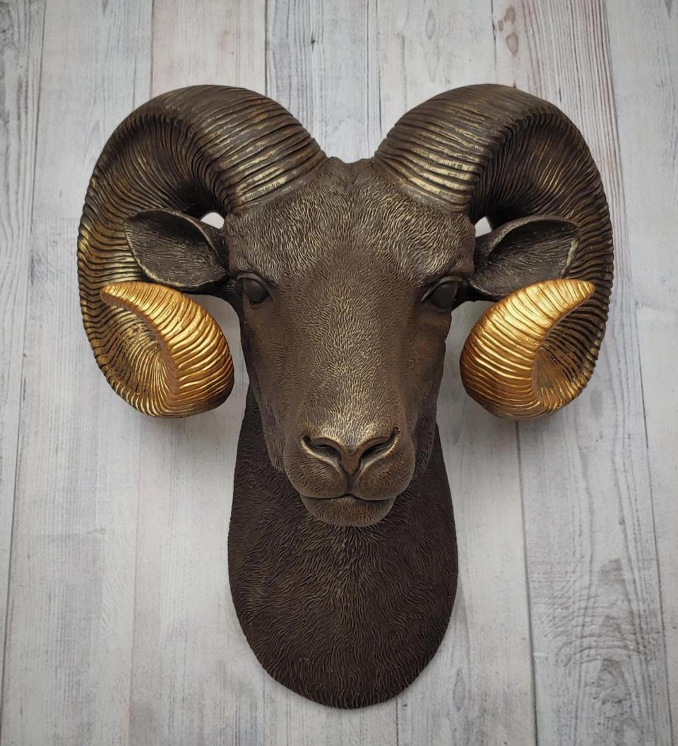 Faux taxidermy ram head, painted brown with gold tipped horns that are graduated in color.